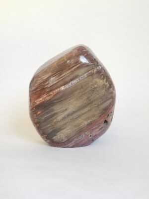 3,5 Kg polished Petrified Wood gemstone from madagascar Freeform