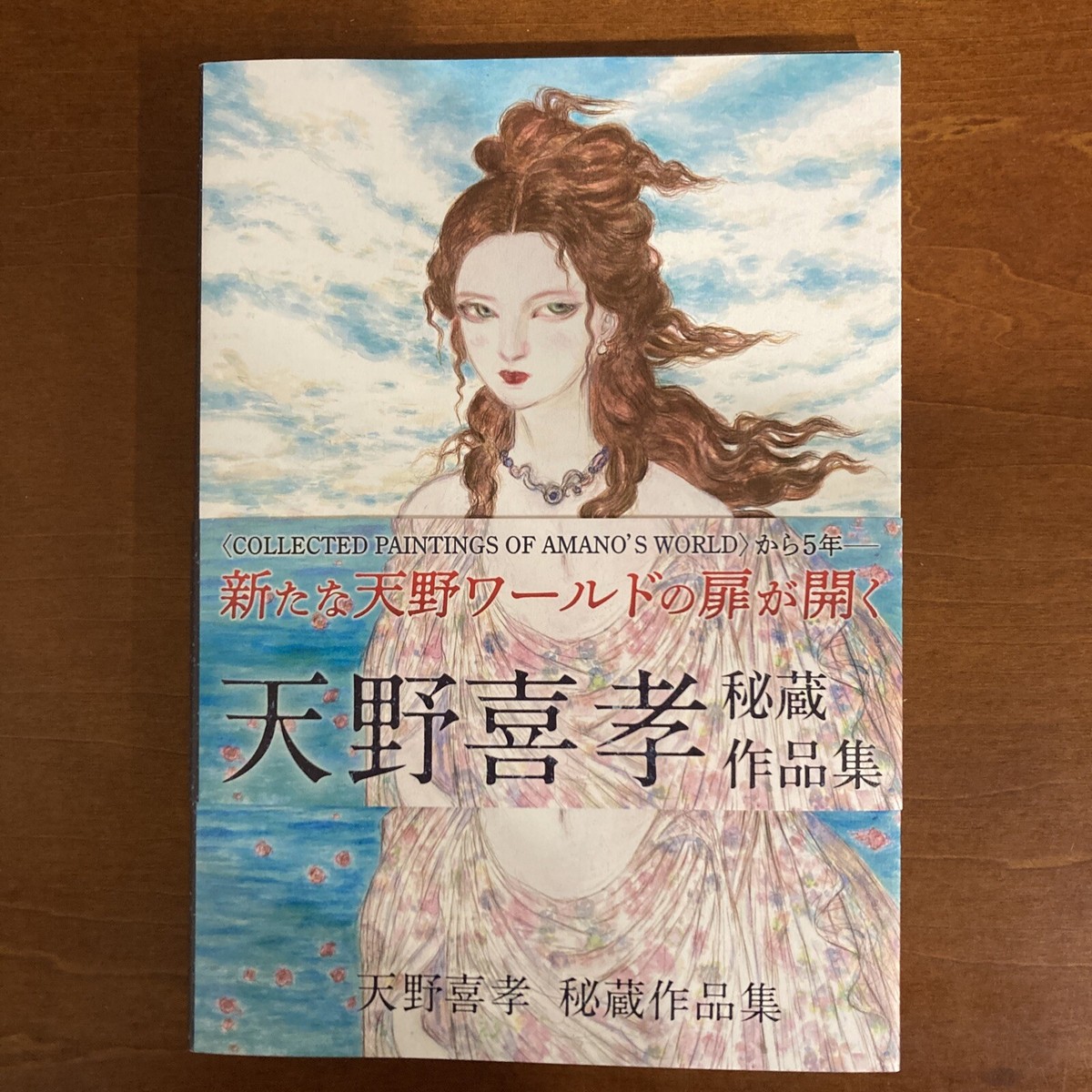 SHINJUKU MINK AMANO アートブック SHINJUKU MINK AMANO アートブック Shinjuku (Second Edition