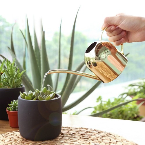 500ml Gießkanne Blumenkanne Gieskanne Bewässerung Blumengießer Kanne Wasserkanne - Bild 6 von 12