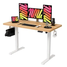 Electric Standing Desk, 47.2 inches Height Adjustable Desk, Ergonomic Compute...