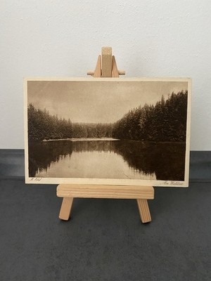 Vintage Postcard H. Ebel, Am Waldsee, Nature, Resin, Collection, Landscapes