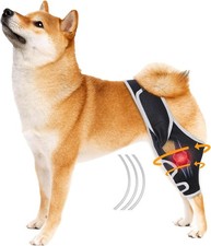 XUVIRA Dog Knee Brace for Torn Acl Hind Leg Cruciate Ligament Injuries Black M