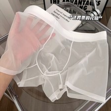 Mens Panties Ice Silk Underwear Cool Shorts Translucent Underwear Briefs U Pouch