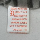 Bild 9 von 10