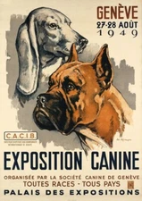 1949 Canine Expo Boxer  11 x 17  Giclee Reproduction Print Premium Matte Paper
