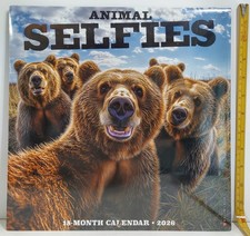 Animal Selfies Funny NEW 2026 Wall Calendar Collectibles Photos 18 Months Willow