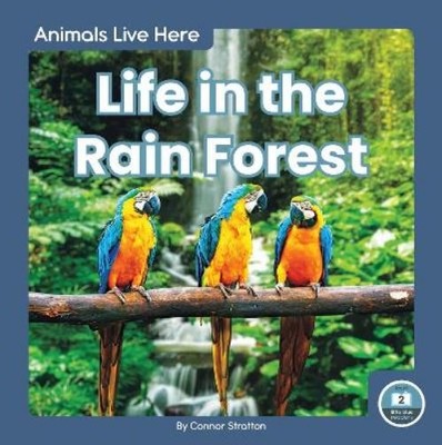 Connor Stratton Life in the Rain Forest (Gebundene Ausgabe) Animals Live Here