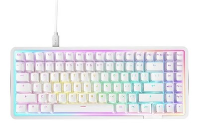 NZXT FUNCTION Elite MiniTKL, Gaming-Tastatur weiß, DE-Layout, NZXT Swift