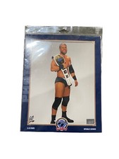 Curtis Axel WWE 8x10 New Sealed In Original Package The Photo File