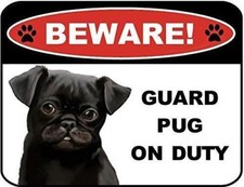 Beware Guard Pug on Duty v1 9 inch x 11.5 inch Laminated Dog Sign