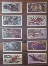 Brooke Bond Tea Cards Transport Through The Ages Black Back Set & Other Sets