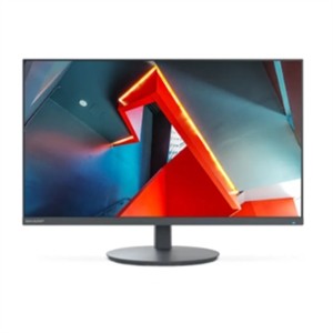 Sharp MultiSync DD-E244FL 24'' Full HD IPS Monitor USB-C Black