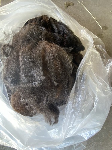 Raw Natural Colored Romney Ewe Neck Wool For Small Spinning/Felting Project