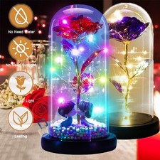 Rose Flower In Glass Gift For Women Wife Her Valentine Girlfriend Birthday Gifts