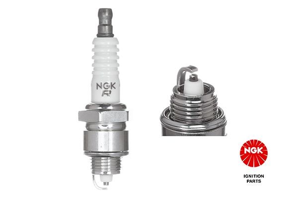 Spark Plug NGK 4536