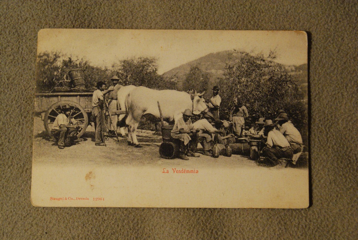 La Vendemmia - Italy | eBay