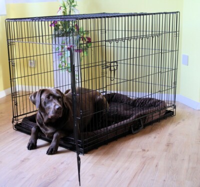 MyPets  KOMPLETTSET Faltbare Hundegitterbox Hundetransportbox Hundekäfig Käfig