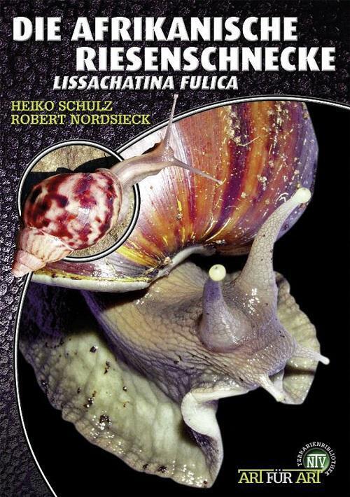 Die Afrikanische Riesenschnecke - Achatina Fulica | Heiko Schulz (u.