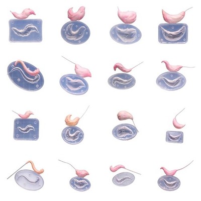 Artistic Clay Tail Mold Set Suitable For School Activities And Creative Hobbies