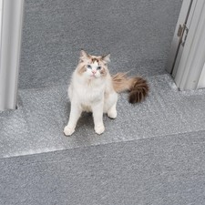 3.6FT Silver Carpet Protector, Pets, Cat, Doorway, Anti Scratch Under Door