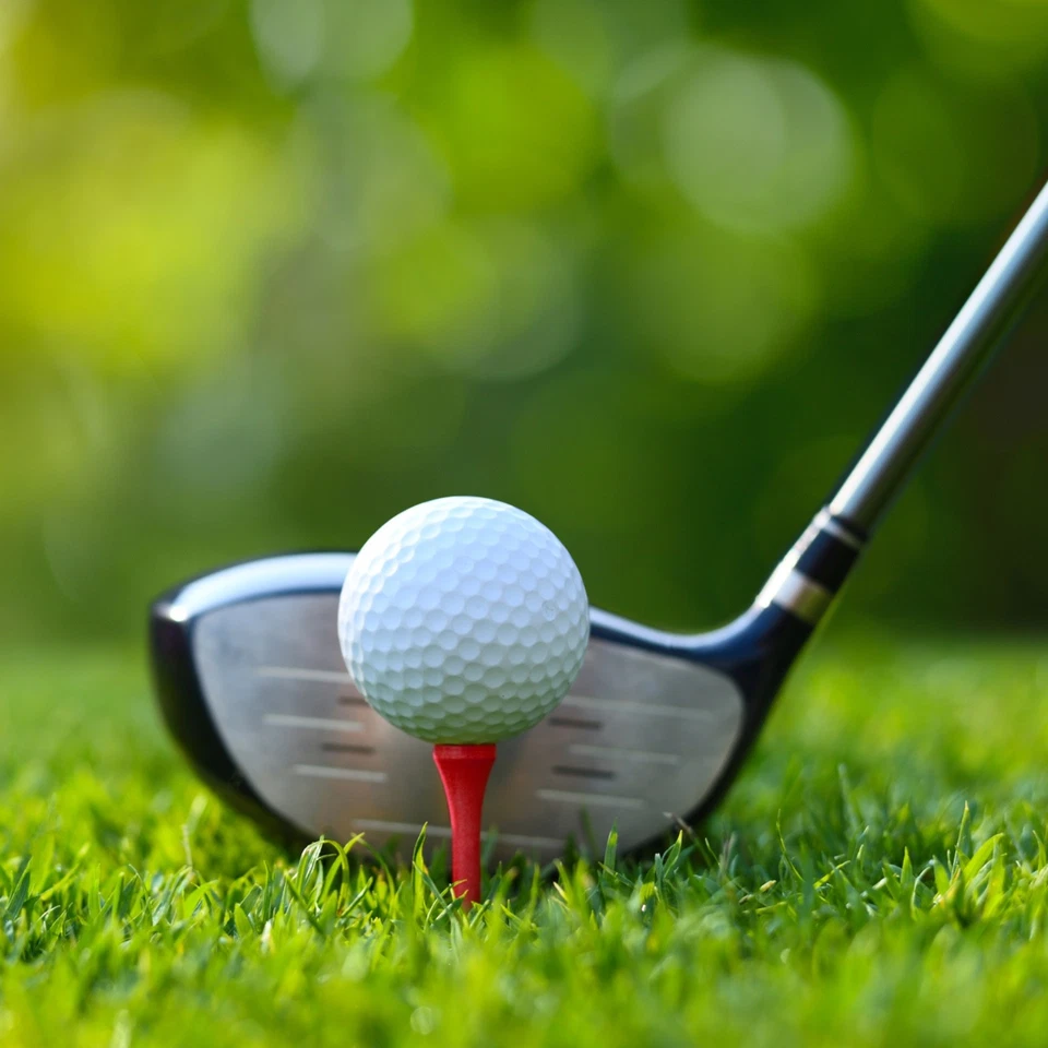 ProActive Sports Premium Hardwood Wood Golf Tees – 2 3/4 Inch - 100 Count Bag - Image 4 of 4