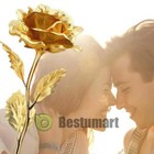 Bild 76 von 98