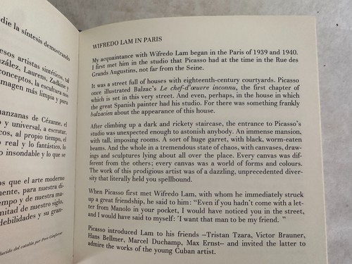 WIFREDO LAM A PARIS - Sebastia Gasch - 1976 - HC/DJ - English/Spanish/French - Picture 14 of 15