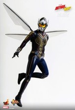 Hot Toys MMS498 - Ant-Man and the Wasp - THE WASP - 1:6 scale -New -Free Ship