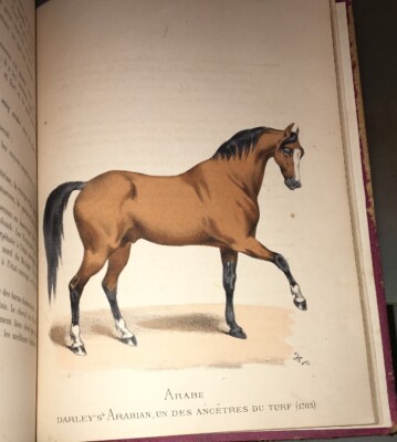 CHEVAUX] PINEL (Honoré). ABC du sportsman Robes et Marques