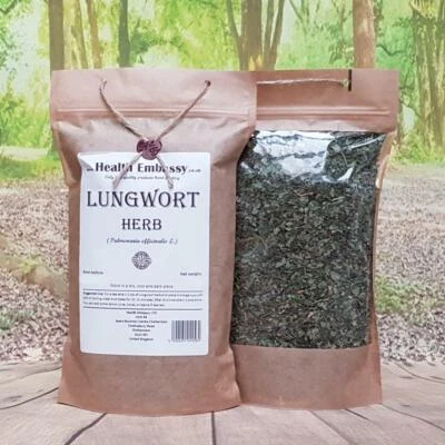Lungwort Herb | Pulmonaria officinalis L | Loose Leaf Herbal Tea Health Embassy