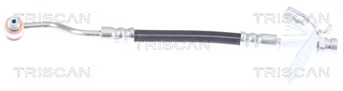 Bremsschlauch FÜR Hyundai I20 I (Pb, Pbt) - Triscan 8150 43232-image