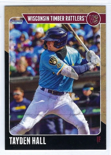 2025 Wisconsin Timber Rattlers (Class A-Milwaukee Brewers) Tayden Hall