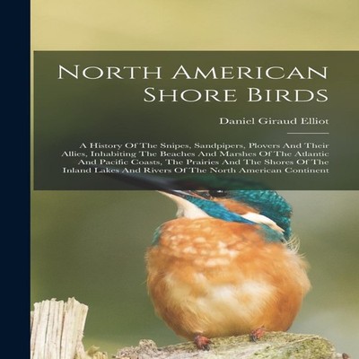 North American Shore Birds A History Of The Snipes Sandpipers Plo