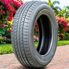 Ferentino Eternopresa 19565r15 91h All Season Performance Tire Utqg 440aa