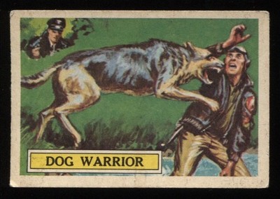 Trade Card, A&BC Kaugummi, Battle, 1966, Dog Warrior, #15