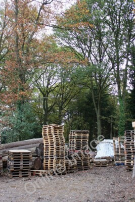 Photo 6x4 Trees, living and felled, with pallets Gorsley Common Pallet st c2010