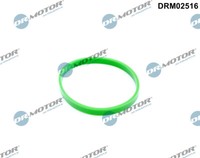 Dr.Motor Automotive Dichtung AnsaugkrüMmer FüR BMW X3 Xdrive20D Xdrive30D 3Er