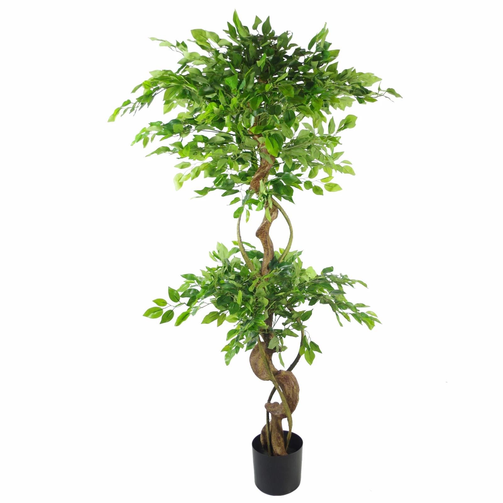 150cm Fruticosa - 7369
