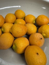 Faux Lemons Citrus Artificial Realistic Fruit Textured Home Decor 15 Small 1.5  