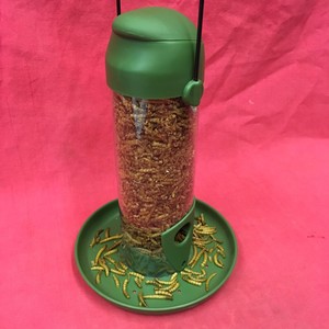 Plastic Wild Garden Bird Free Mealworm Feeder With Tray 9 No Mess