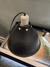 100W Heat Lamp for Chameleon, Tortoise, etc. + 2 Day 100W Bulbs & 1 Night Bulb