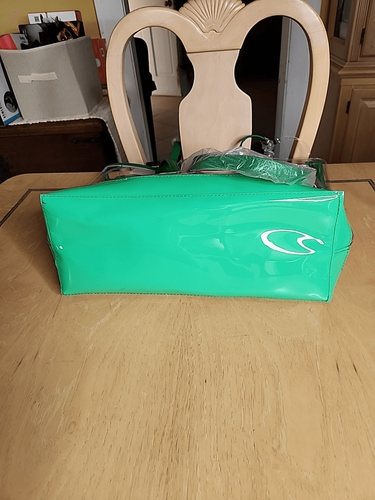NWT ED Hardy Clear 100% PVC Green Mary Large Tote Bag W/ Clear Zip Bag - Picture 4 of 4
