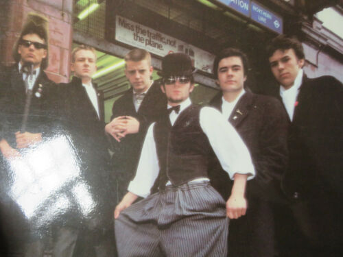 MADNESS Absolutely STIFF RARE WITHDRAWN SLEEVE 1980 UK 1ST PRESSING LP SEEZ29 - Imagen 12 de 12