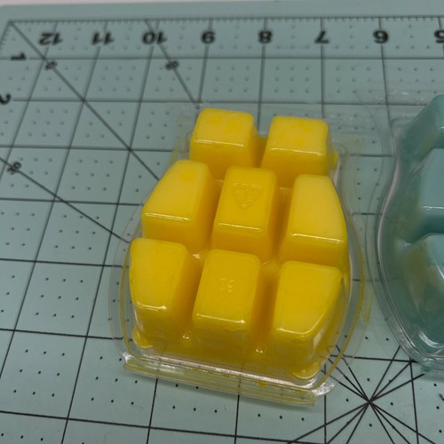 2 x Scentsy Wax Bar Squeeze The Day & By the Sea - Picture 5 of 5
