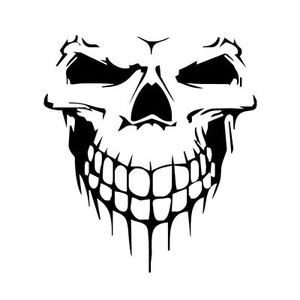 3M Graphics Hood Decal Vinyl Sticker Skull Car Auto Tailgate Window Bumper Decor