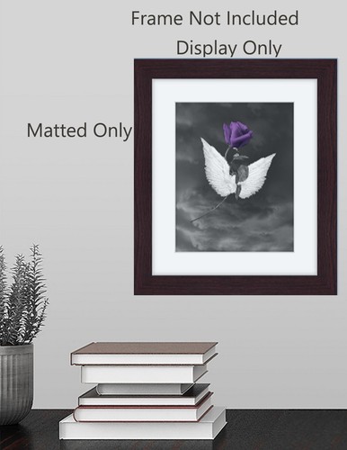 Black White Purple Wall Decor, Rose Angel Wings, Purple Wall Art Matted Picture - Picture 2 of 10
