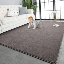  Large Area Rugs for Living Room Bedroom, Super Soft Indoor 4x6 Feet Dark Grey