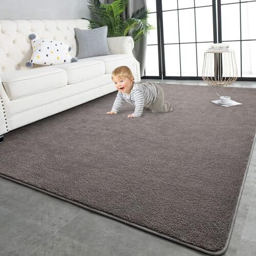 Large Area Rugs for Living Room Bedroom, Super Soft Indoor 4x6 Feet Dark Grey - Picture 1 of 7