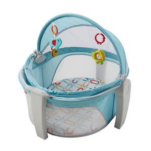 fisher and price on the go baby dome