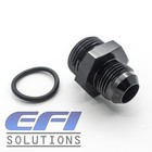 Straight Male AN10 To AN12 ORB Fitting (Black) 920-10-12BLK